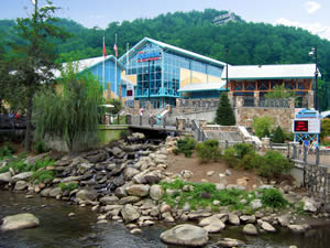 Ripley's Aquarium in Gatlinburg