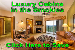 Luxury Cabins