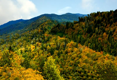 Vivid Mountain Colors