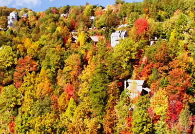 Fall Colors in the Smokies