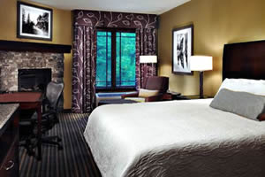 Spacious Hotel Room with King Bed