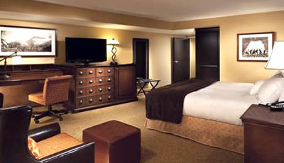 Luxury Hotel Rooms