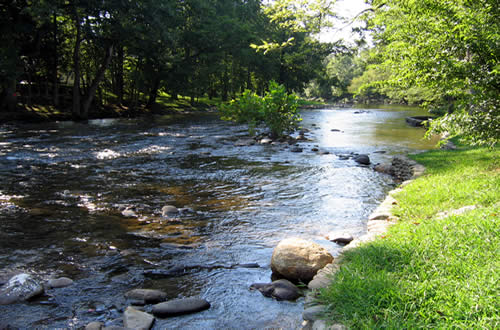 Mountain Stream