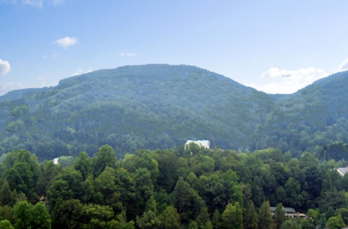 Majestic Mountain View